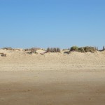 Strand von De Haan