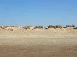 Strand von De Haan
