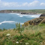 Mullion Cove