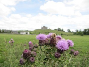 Rock of Cashel