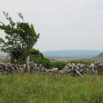 Burren