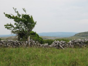 Burren