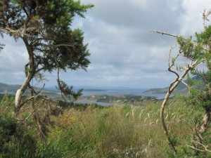 Connemara NP